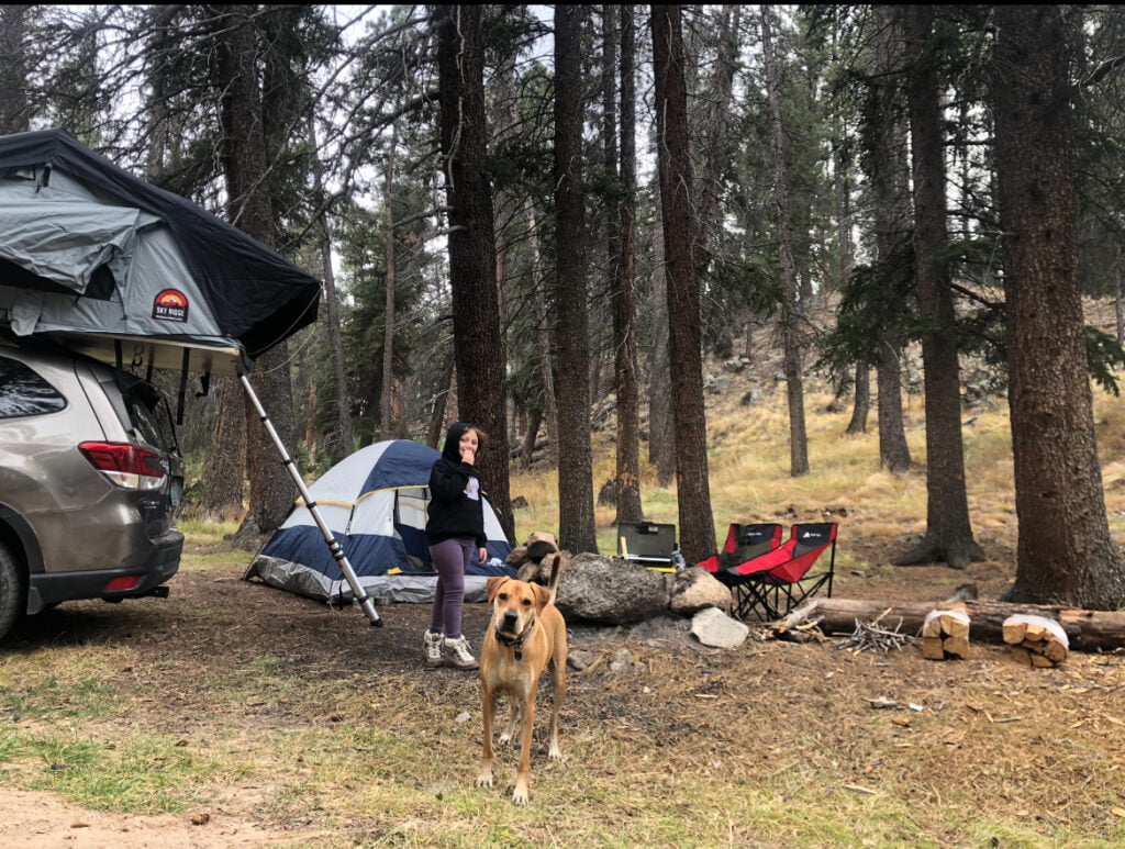 A woman and her dog standing next to a tent in the woods.