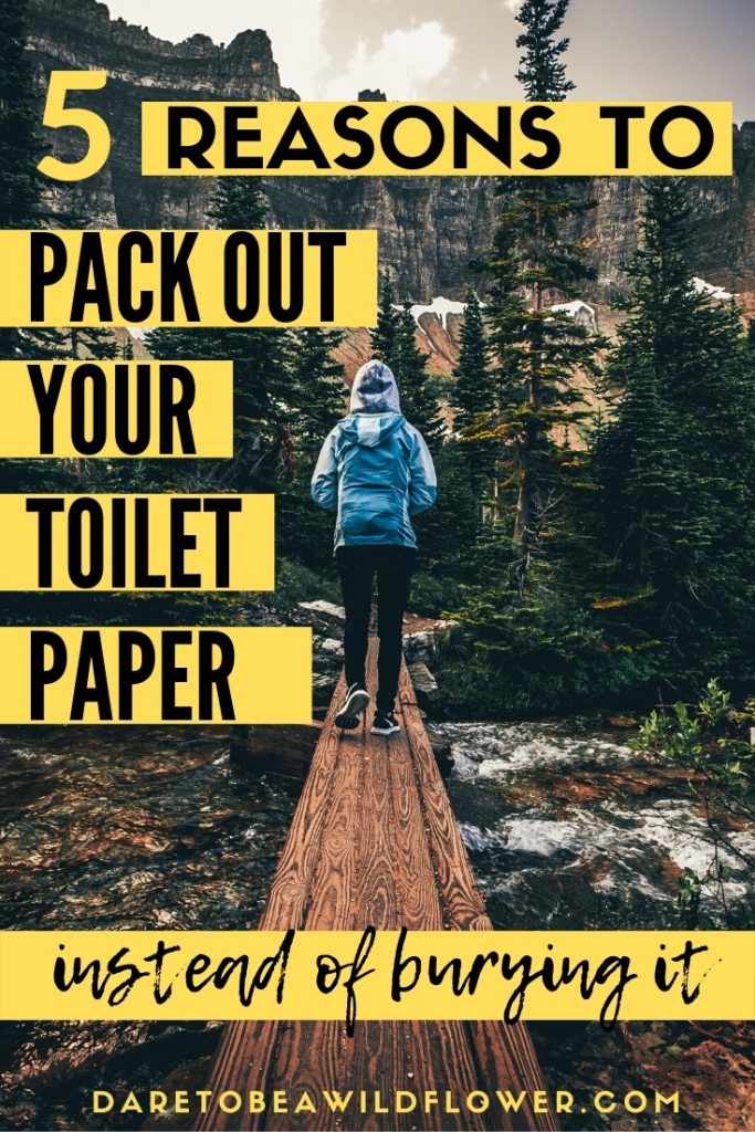 5 reasons to pack out your toilet paper instead of burying it