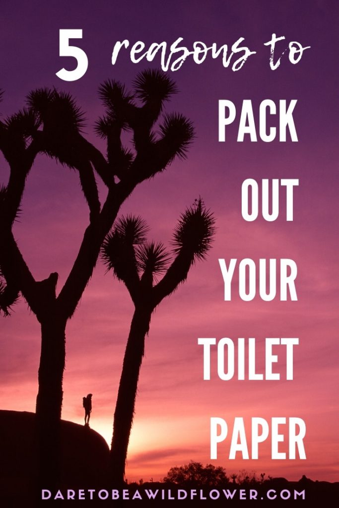 pack out your toilet paper in joshua tree