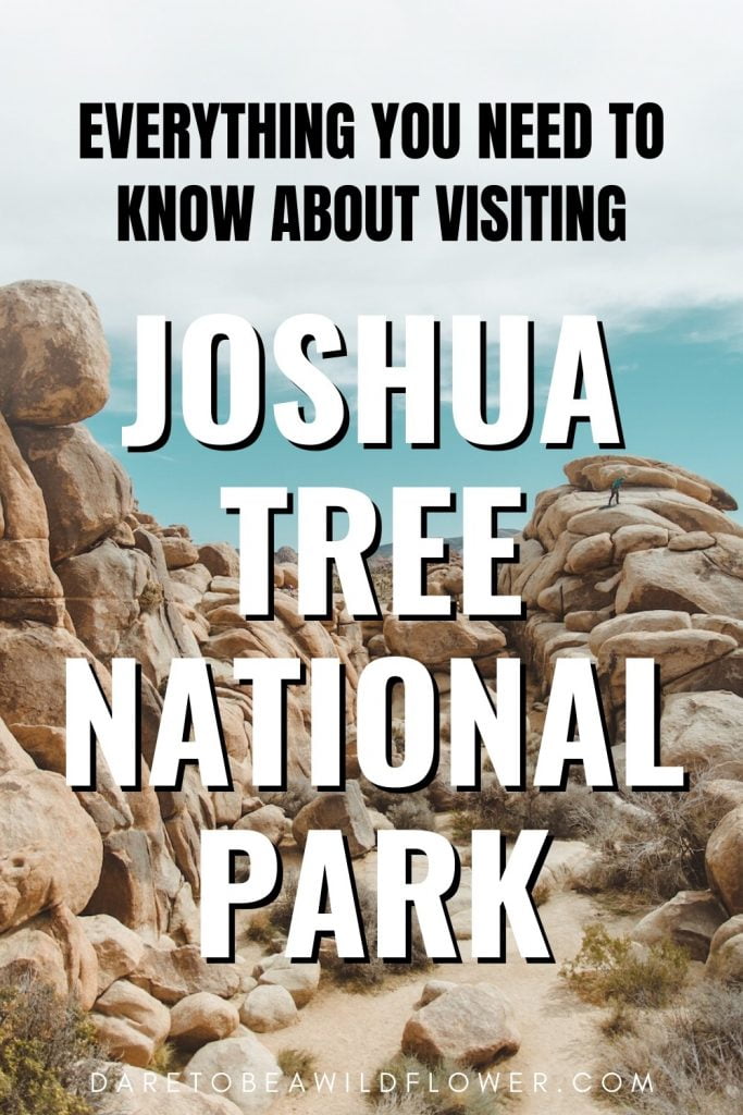 Everything you need to know about visiting Joshua Tree National Prk