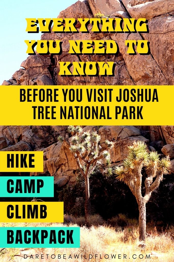 Everything You Need To Know BEFORE You Visit Joshua Tree National Park