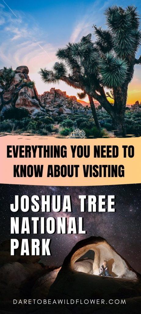 everything you need to know about visiting Joshua Tree National Park