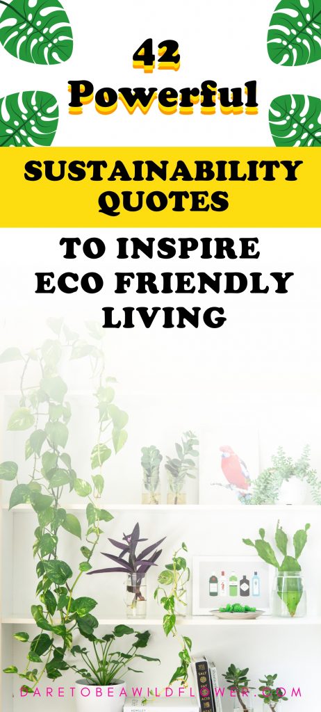 42 powerful sustainability quotes to inspire eco friendly living