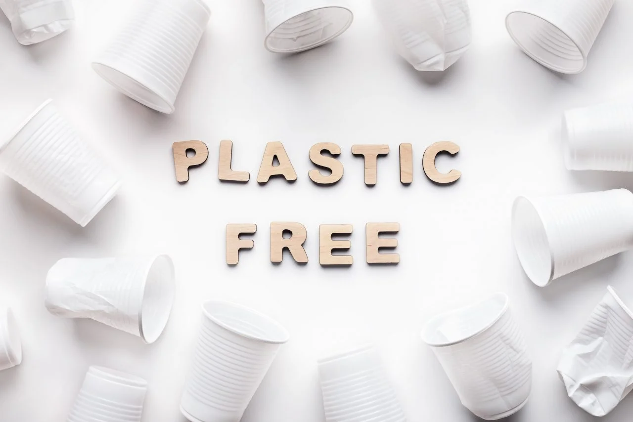 Sustainability Quotes to Inspire Eco Friendly Living Plastic free