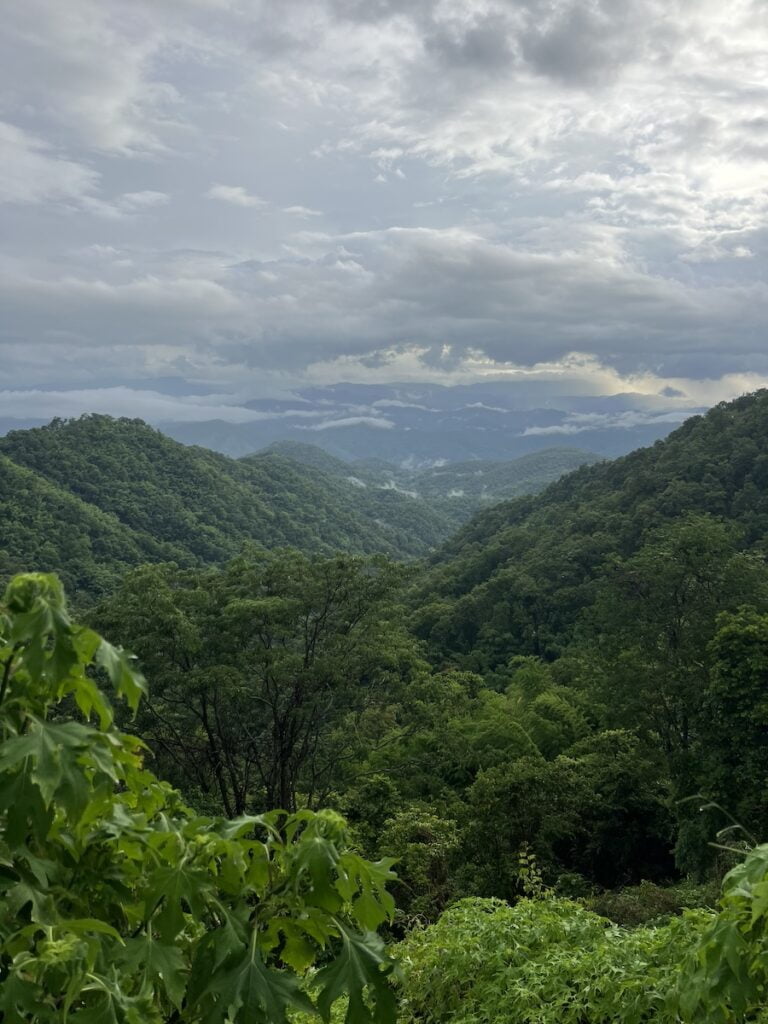 A view of a green valley with trees and a cloudy sky in thailand.