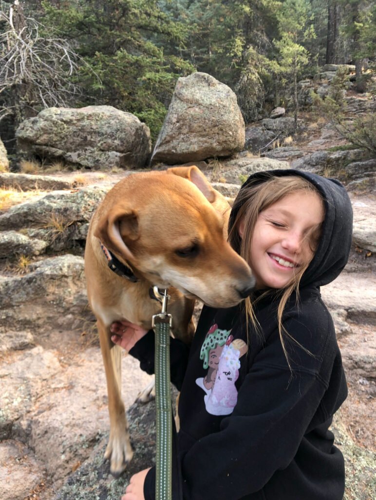A young girl with a brown dog on a rock.