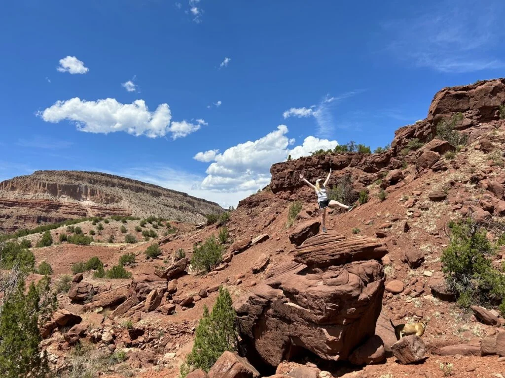 A person is standing on a rocky cliff.